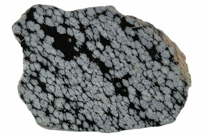 Polished Snowflake Obsidian Section - Utah #117776